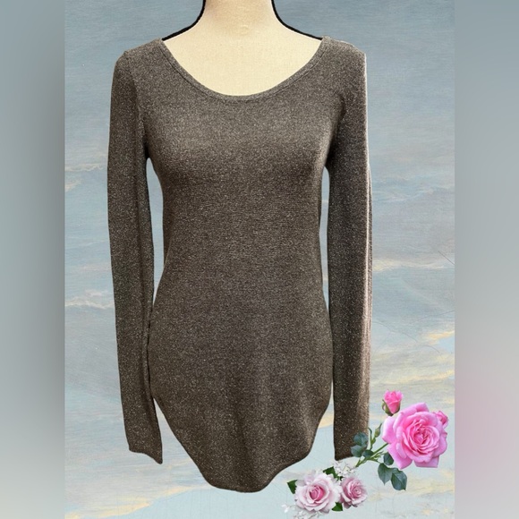 Express Gray With Silver Glitter, Tunic Women’s Size Small - Picture 1 of 11